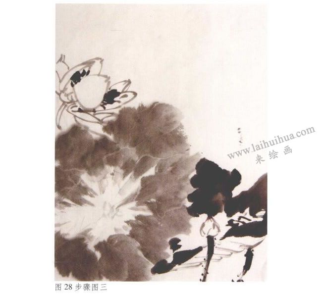 《墨荷》水墨画法步骤03
