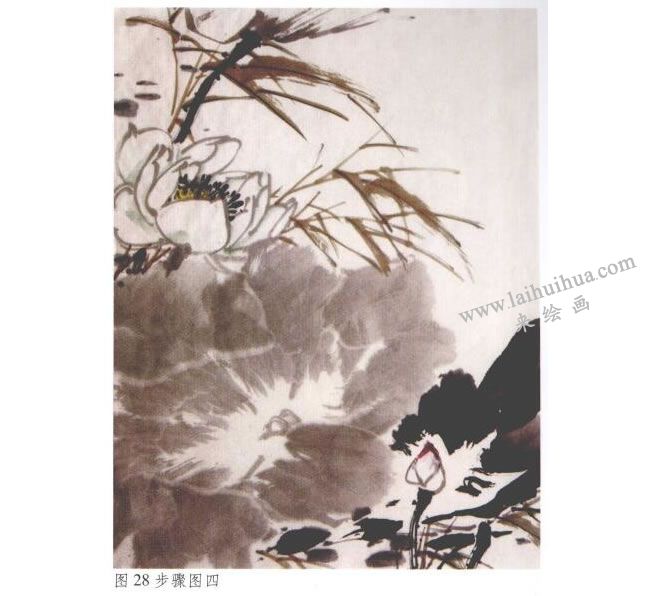 《墨荷》水墨画法步骤04