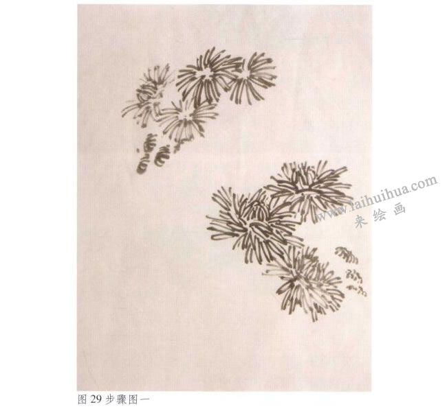 《墨菊》水墨画法步骤01