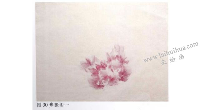 《牡丹》水墨画法步骤01