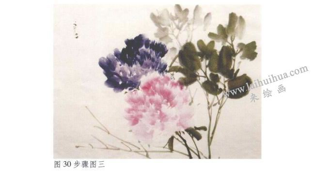 《牡丹》水墨画法步骤03