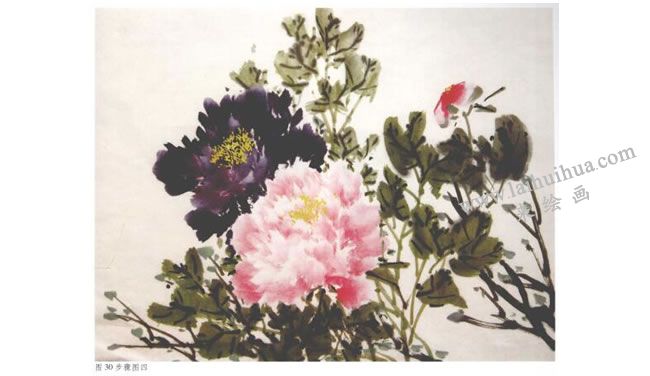 《牡丹》水墨画法步骤04