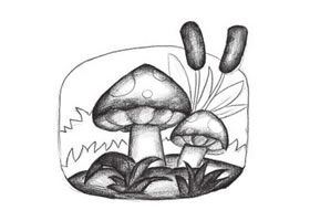 蘑菇创意素描画法