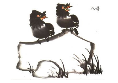 八哥儿童水墨画法