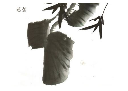芭蕉儿童水墨画法