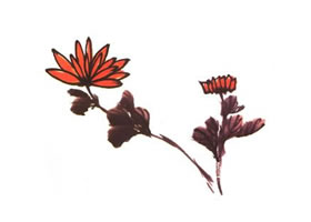 菊花儿童水墨画法