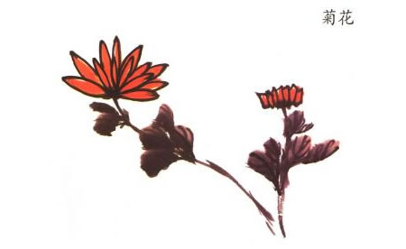 菊花儿童水墨画法