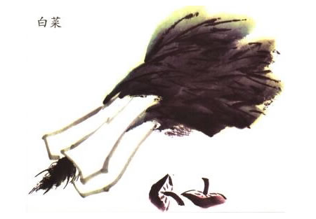 白菜儿童水墨画法