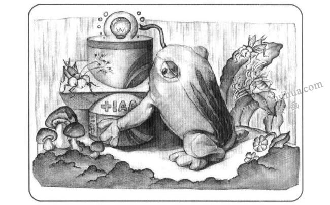 青蛙与石膏组合体儿童创意素描画法步骤04