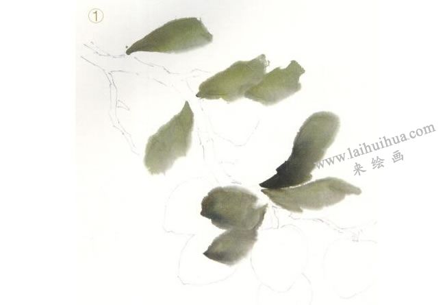 荔枝国画法步骤01
