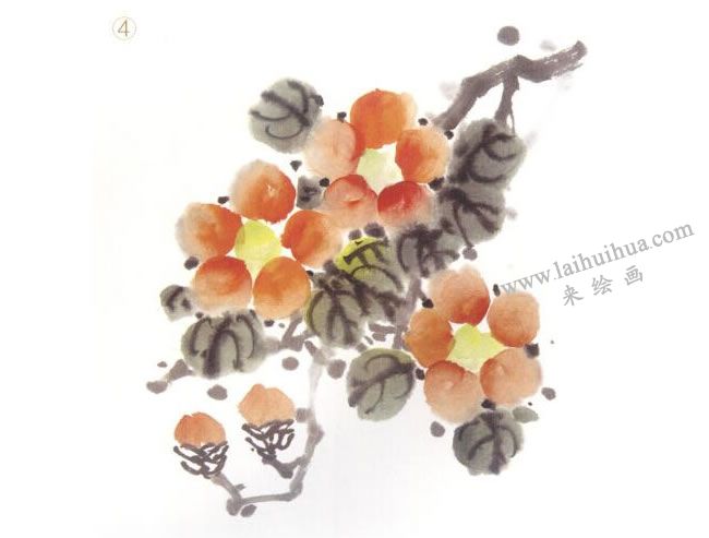 茶花国画法步骤04