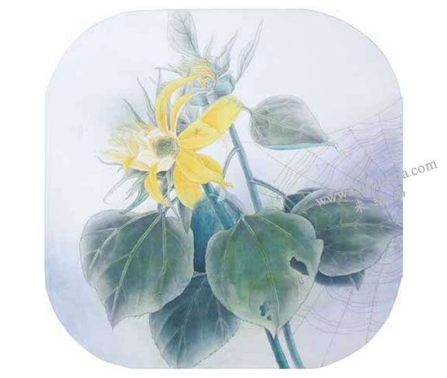 向日葵工笔画法步骤05