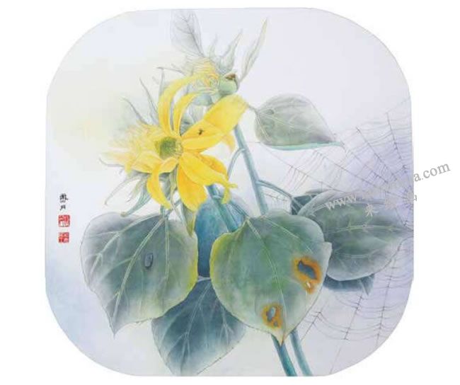 向日葵工笔画法步骤06