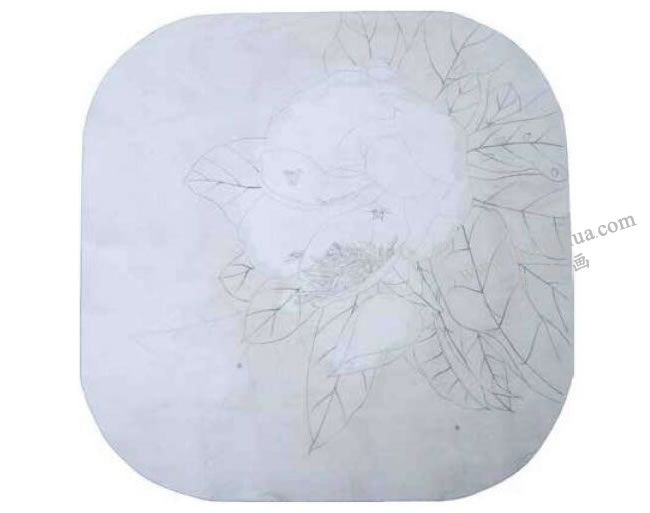 广玉兰工笔画法步骤01