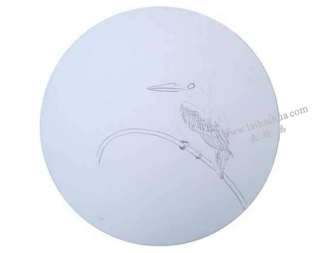 翠鸟工笔画法步骤01