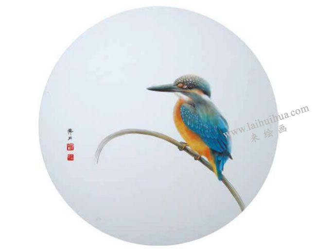 翠鸟工笔画法步骤07