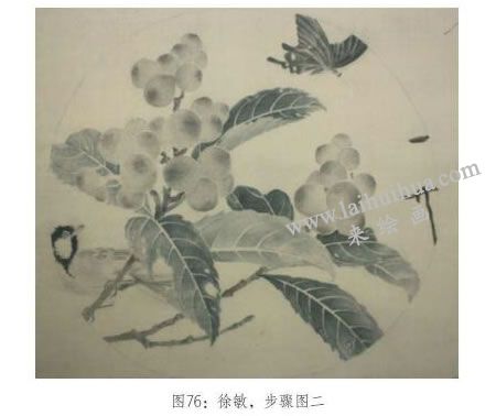 工笔画《琵琶山鸟图》临摹步骤：分染