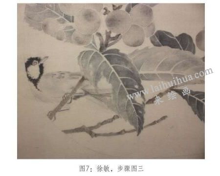 工笔画《琵琶山鸟图》临摹步骤：深入刻画