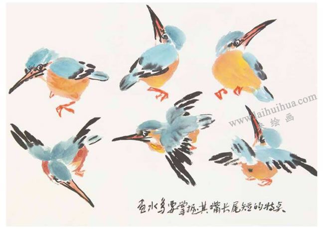 翠鸟的写意画法