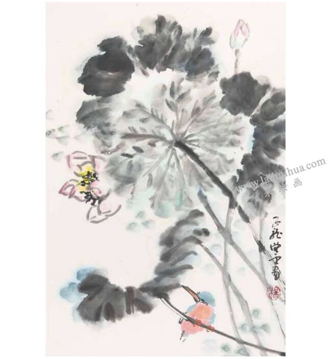 荷花翠鸟图之一