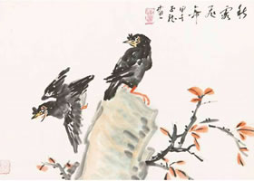 八哥的写意画法技法图谱