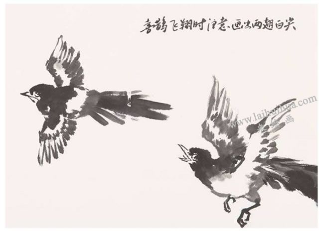 喜鹊的画法之二