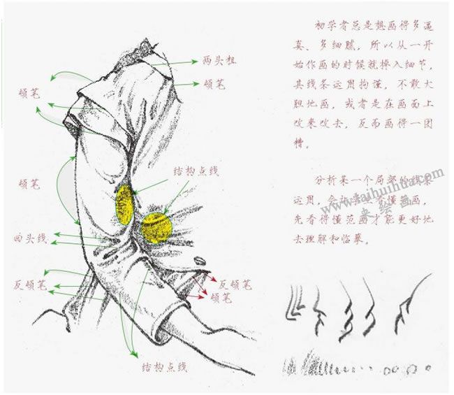 人体外形的线条，速写线条