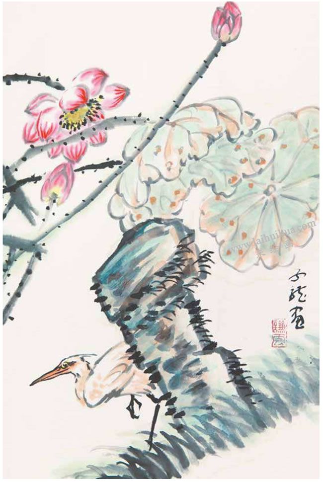 荷塘白鹭