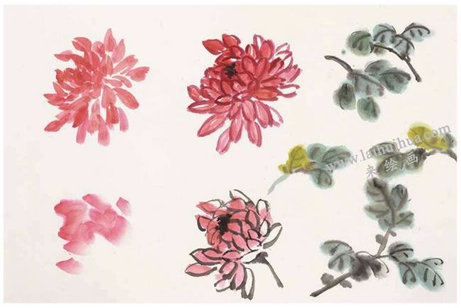菊花的写意画法02