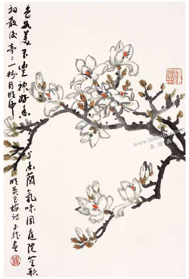 玉兰花