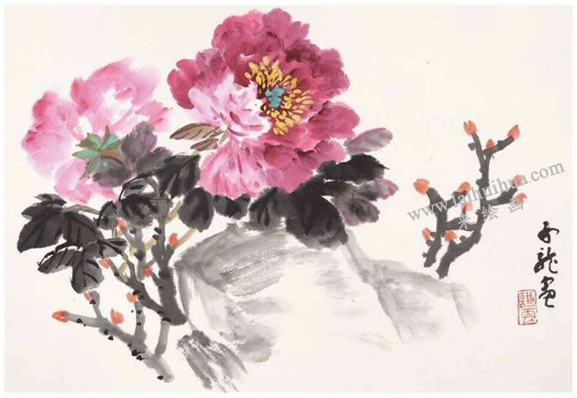 画两朵牡丹的画法