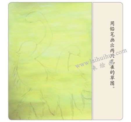 孔雀开屏水粉画法步骤02