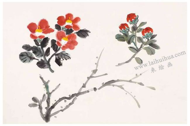山茶花的写意画法01