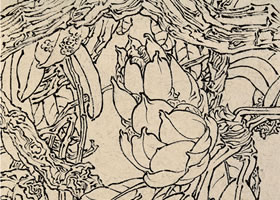 王瑛《马缨杜鹃》白描花卉写生作品