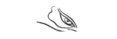 孔雀眼白描画法