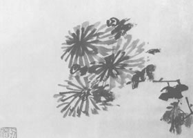 八大山人墨菊图