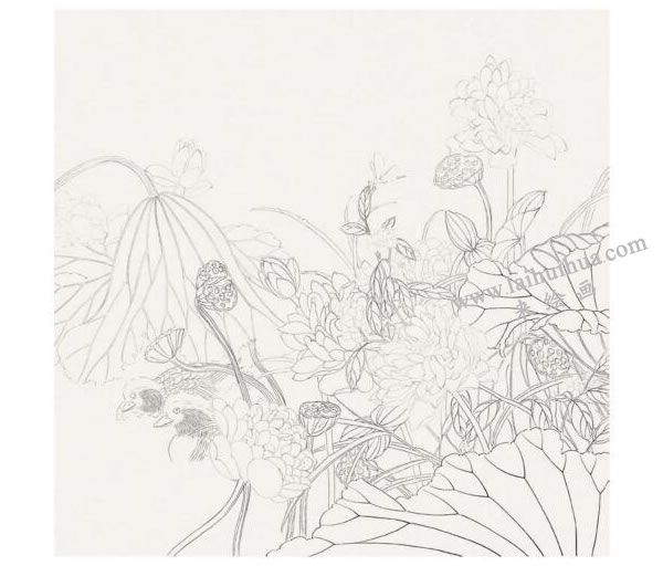 工笔画《荷花》步骤01