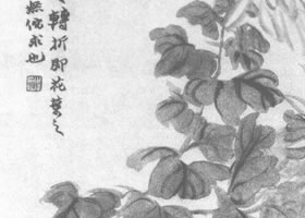 赵之谦菊花图