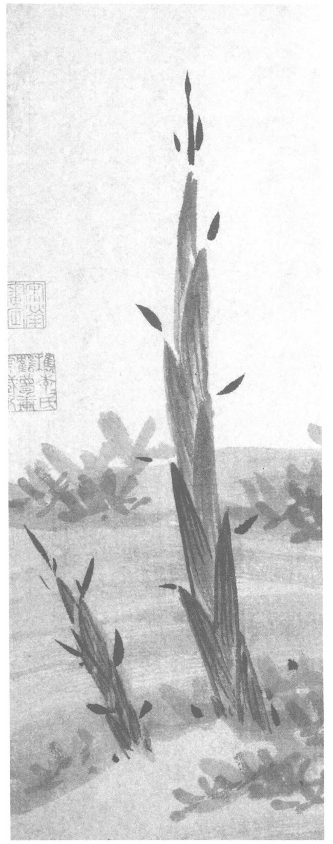 竹笋的水墨画法
