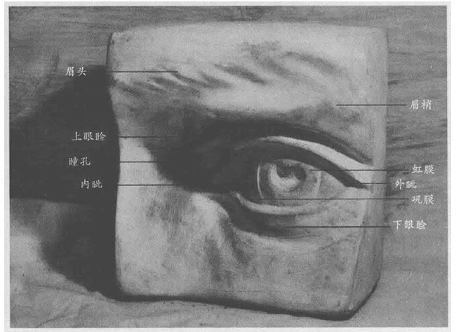 石膏眼睛素描画法