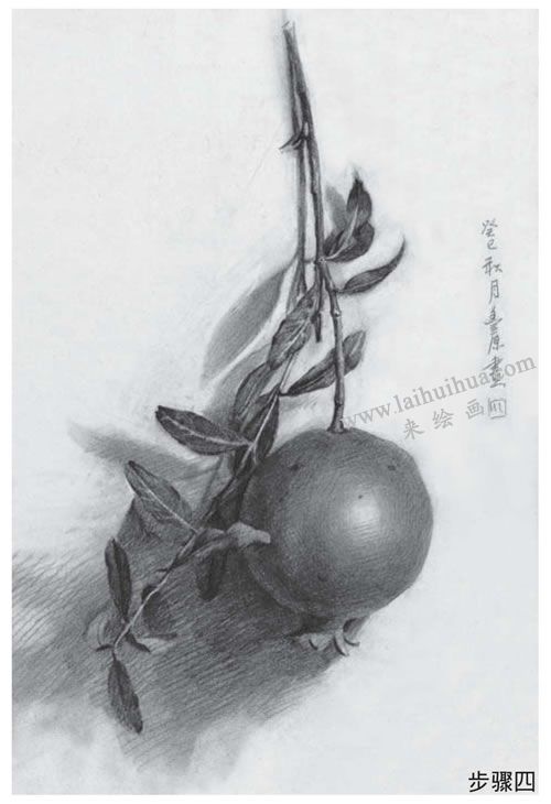 石榴素描画法步骤04