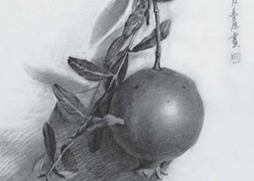 石榴素描画法