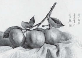 橘子素描画法（一）