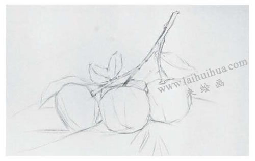 橘子素描画法步骤01
