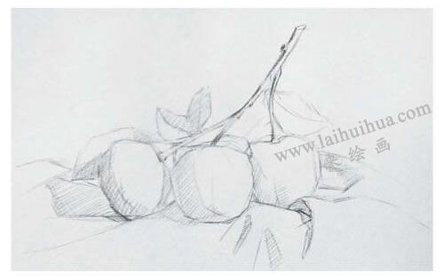 橘子素描画法步骤02