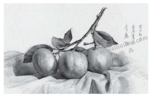 橘子素描画法步骤04
