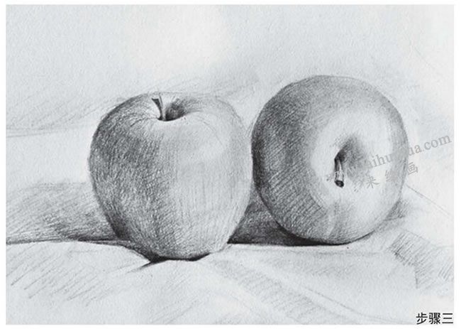 苹果组合素描作画步骤03