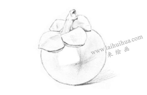 山竹素描画法步骤02