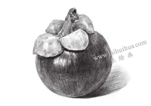 山竹素描画法步骤05