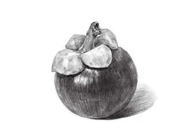 山竹素描画法